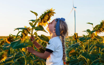 Focusing on regenerative agriculture and moving to renewable electricity, Nestlé redoubles efforts to combat climate change