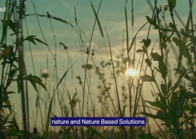 Business is ready to step up investment in nature