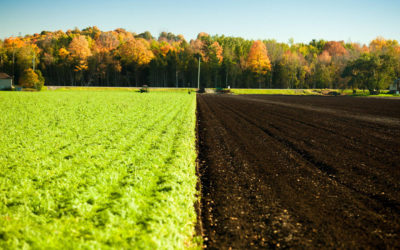 New report highlights the business case for investing in soil health