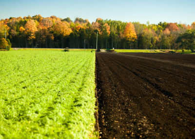 The Business Case for Investing in Soil Health